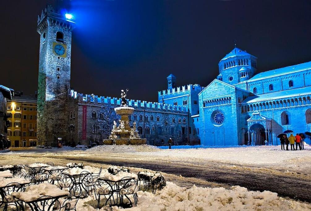Heart Of Historic Center - Free Parking & Pet Friendly - Fast Wifi - Historical Palace Apartment Trient
